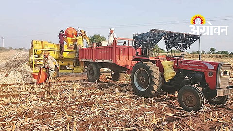 Paddy Prices Drop