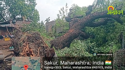Rain Crops Damages