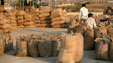 FCI Foodgrain Stock