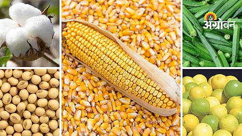 Agrowon Podcast