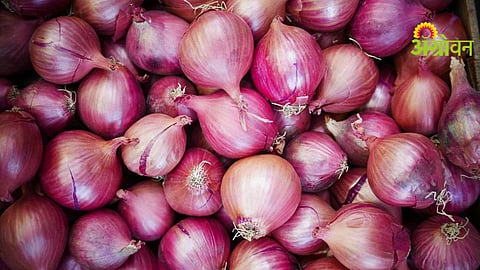 Onion Prices Issue