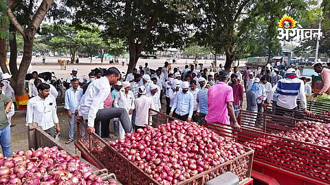 Onion Auctions