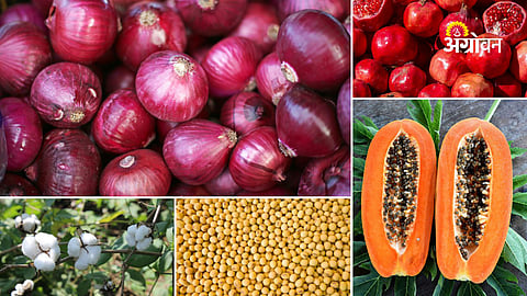 Maharashtra Market Update