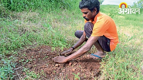 Bamboo Farming Boosts Rural Economy in Jawhar