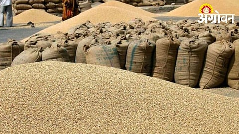 Deadline Extended for Jowar and Maize Registration