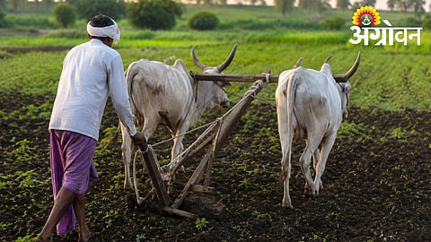 Tenant Farmers