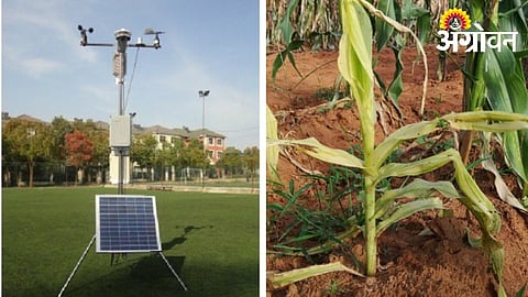 Farmers Suffer as Weather Station Shuts Down in Palghar
