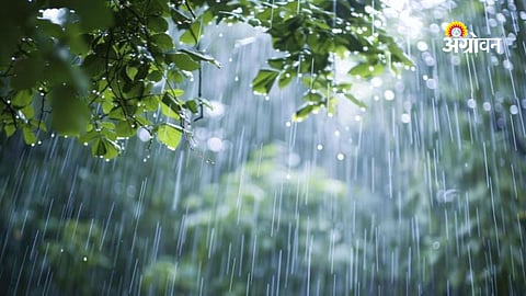 IMD weather forecast for Vidarbha
