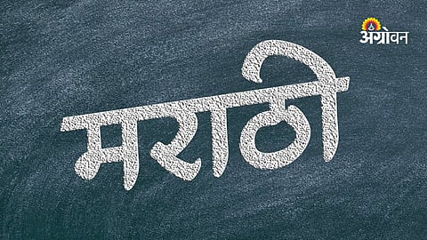 Importance of folk vocabulary in Marathi language
