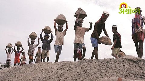 Decline in labour attendance under MGNREGA due to heatwave