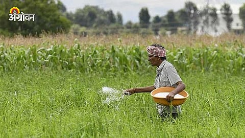 Phosphate Fertilizer Prices Surge