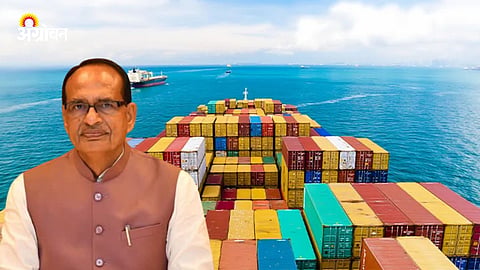Vegetables and Fruit Export