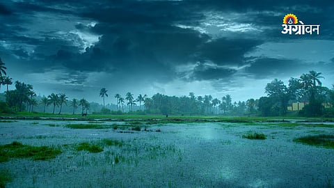Smart agriculture and water conservation