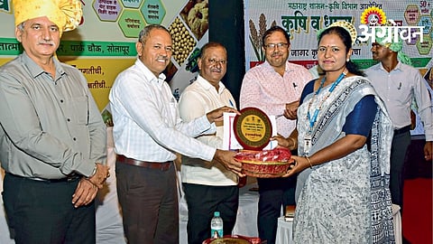 Mangalwedha Agriculture Officer Manisha Misal Honoured