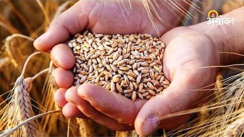 Agricultural Procurement