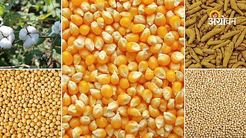 Agricultural commodity market trends today