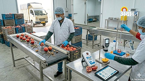 Raw material inspection in food processing