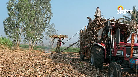 Struggles of women sugarcane laborers in Maharashtra