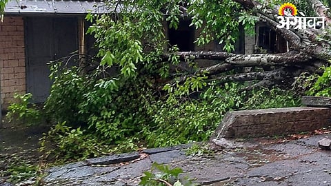 Sindhudurg Storm Damage