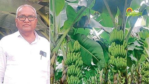 Smart farming techniques for nutrient management