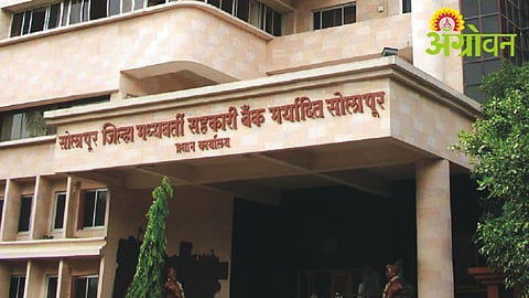 Solapur DCC Bank
