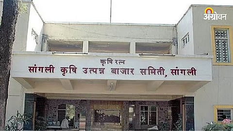 Bombay High Court hearing on Sangli market committee
