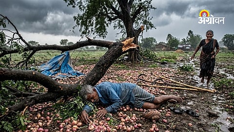 Farmer killed during onion crop protection effort