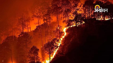Maharashtra forest fire control plan 2025-26