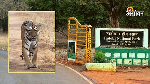 Wildlife rehabilitation center in Tadoba sanctuary
