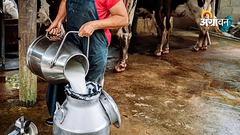 Heatwave impact on milk production in Maharashtra