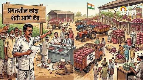 Farmer producer companies accuse NCCF of irregularities