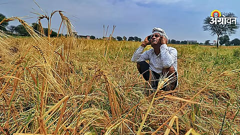 Demands for immediate flood relief and farm subsidy distribution