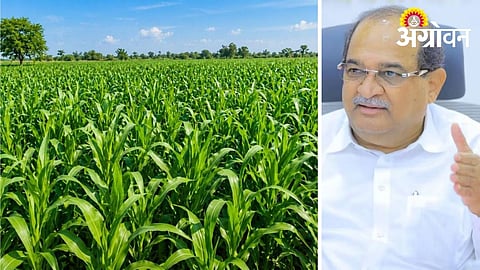 Radhakrishna Vikhe Patil Announces Fodder Planning for Livestock Protection