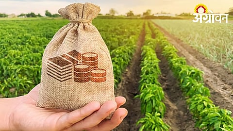 Kharif Crop Credit Allocation Rises in Parbhani District