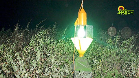 Agricultural pest control techniques