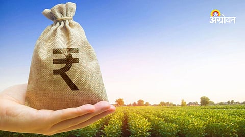 PDCC Bank crop loan distribution 2025