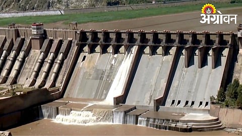 Dharashiv district reserves water in 13 projects for drinking purposes