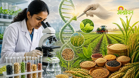 Role of crop breeding in food security
