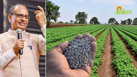 Agriculture input crisis and fertilizer demand