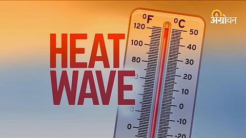 Heatwave alert in Maharashtra districts