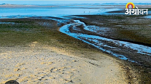 Beed district reservoir water storage falls to 30 percent