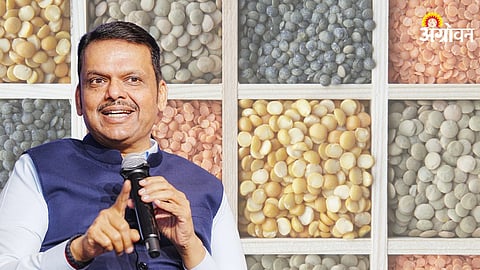 Pulses Self-Reliance Mission