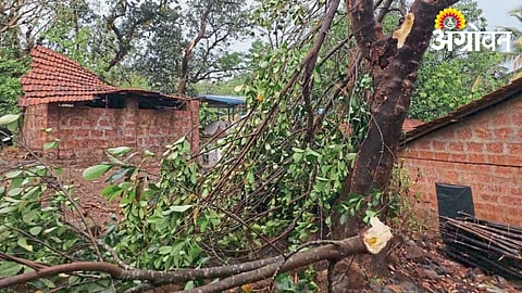 Cyclonic storm damage in Kharepatan and Vaibhavwadi Sindhudurg