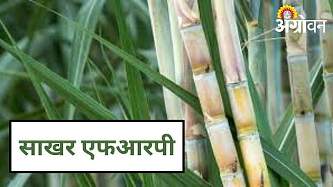 Proposed Sugarcane Control Act 2026 for protecting sugarcane farmers