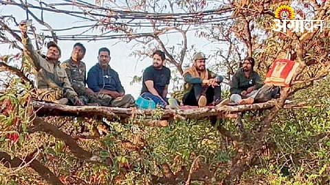 1,566 Wildlife Species Recorded in Sahyadri Tiger Reserve Survey