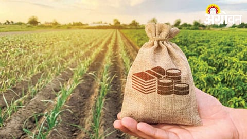 Relief for Farmers Awaiting Loan Waiver in Gadchiroli District