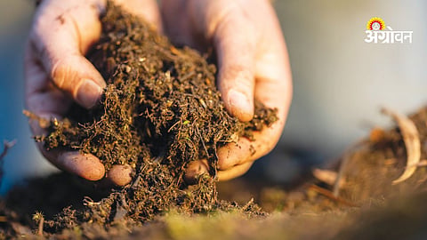 Fertilizer shortage problems in India