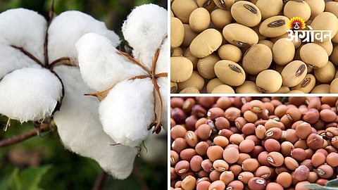 Kharif MSP Increase