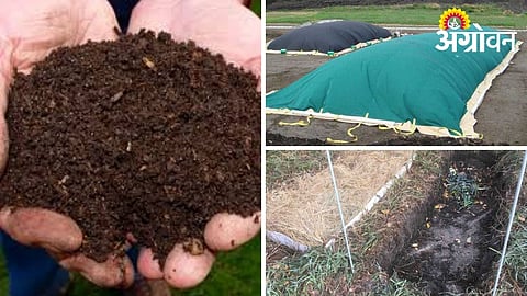 Simple Tricks to Prepare Nutrient-Rich Compost Faster
