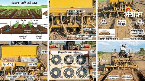 BBF Farming Technique